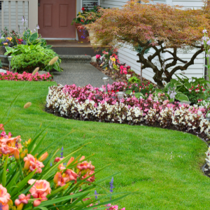 Landscaping Solutions